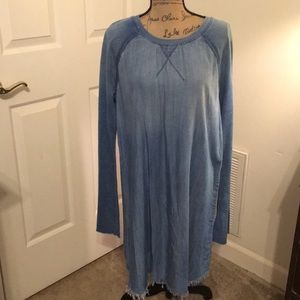 Philosophy Denim Dress large